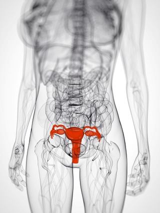 이미지 설명을 입력해주세요.