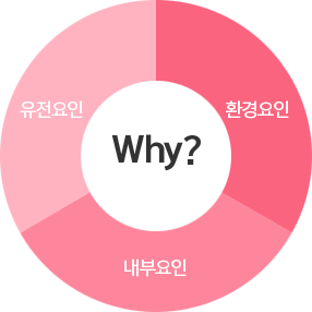 유전요인 환경요인 내부요인 why