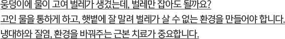 웅덩이에 물이 고여 벌레가 생겼는데, 벌레만 잡아도 될까요? 고인 물을 통하게 하고, 햇볕에 잘 말려 벌레가 살 수 없는 환경을 만들어야 합니다.냉대하와 질염, 환경을 바꿔주는 근본 치료가 중요합니다.