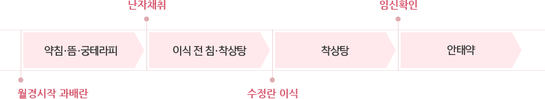 월경시작 과배란 약침ㆍ뜸ㆍ궁테라피 난자재취 이식 전 침ㆍ착상탕 수정란 이식 착상탕 임신확인 안태약